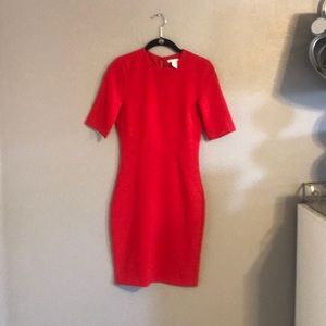Perfect Holiday Dress